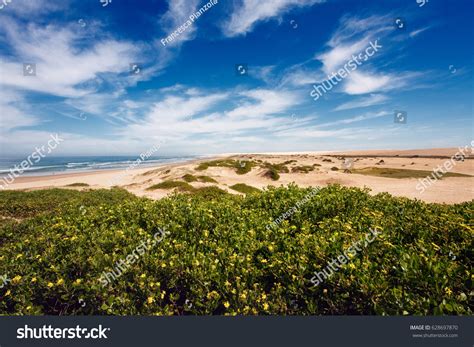 3,055 Coastal Sand Dunes Australia Images, Stock Photos & Vectors ...