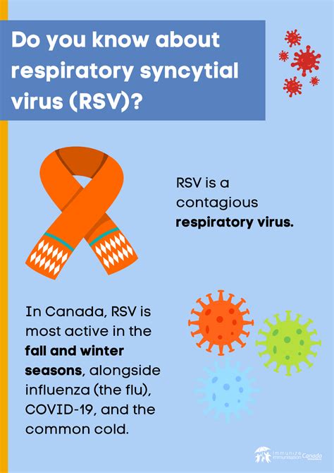 Respiratory Syncytial Virus Rsv Immunizecanada