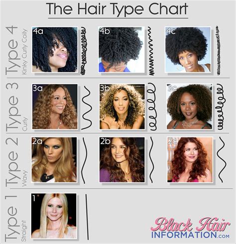 Grades Of Hair Chart Hair Type Chart Types Natural Curly 3c