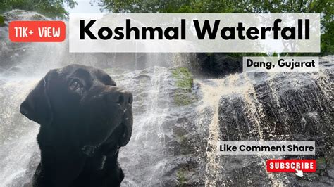 Koshmal Waterfall ⛰️💦 1st Dog Vlogger To Reach 🐾🐾 Bhigu Waterfall