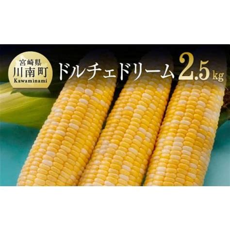 ふるさと納税 とうもろこし 宮崎県 川南町 令和7年発送 朝どれ 守部さんちのドルチェドリーム25kg とうもろこし スイートコーン