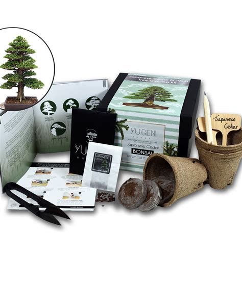 Bonsai Kits Grow Your Own Bonsai Tree Start Your Journey Today