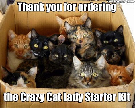 Crazy Cat Lady Starter Kit - Really Cute Cats