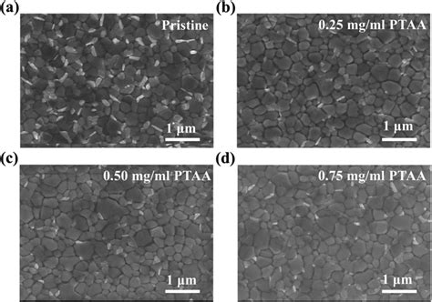 Top View Sem Images Of The Perovskite Films Grown On The Pedot Pss