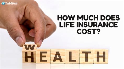 How Much Does Life Insurance Cost