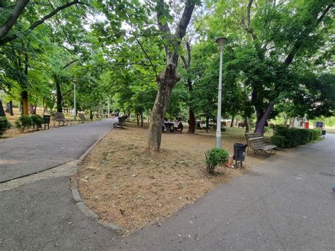 FOTO Primăria Sectorului 2 modernizează Parcul Plumbuita Ce se va