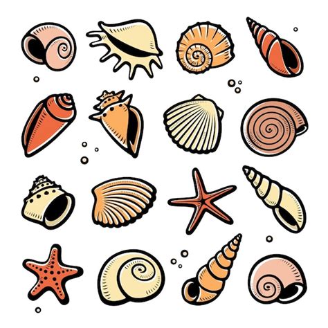 Premium Vector Seashells Background Collection Seashells Icons Vector