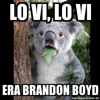 Meme Koala Lo Vi Lo Vi Era Brandon Boyd 1068925