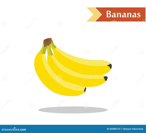 Bananas Stock Vector Illustration Of Healthy Still 60480215