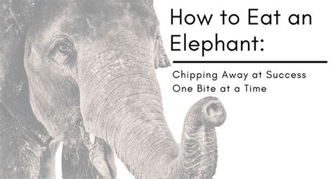 How To Eat An Elephant