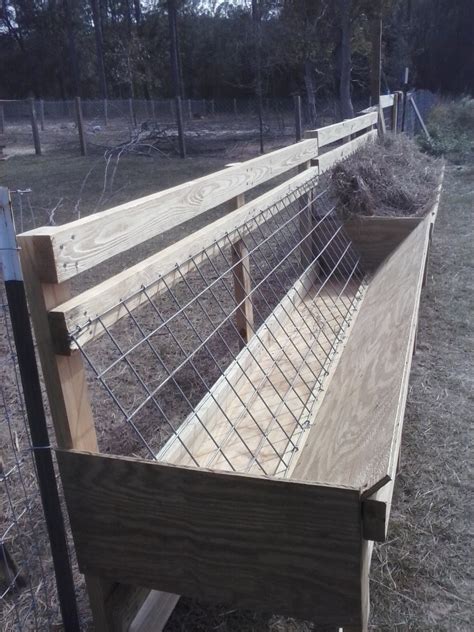 Challenged Survival: The Best Hay Feeder for Goats in the World!