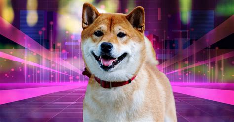 Shiba Inu Metaverse Details Unveiled By Official Announcement