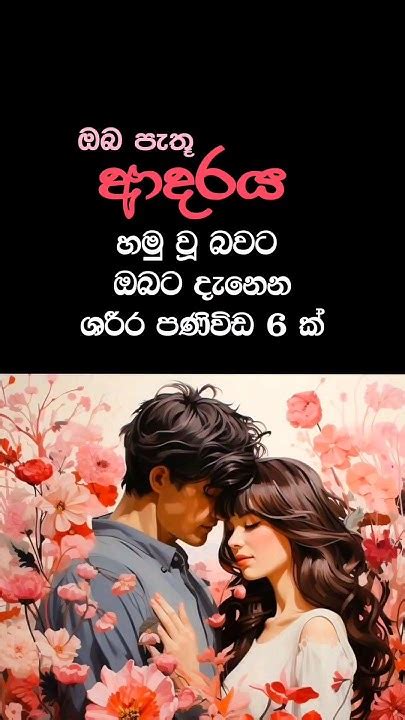 මලිත්ට ගහද්දී චංචලා ඇඬුවේ ඒකයි එහෙනම් Meet My Love 🥰 Youtubeshorts Lovegirl Sinhala