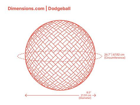 Dodgeball Court - Elite Dimensions & Drawings | Dimensions.com