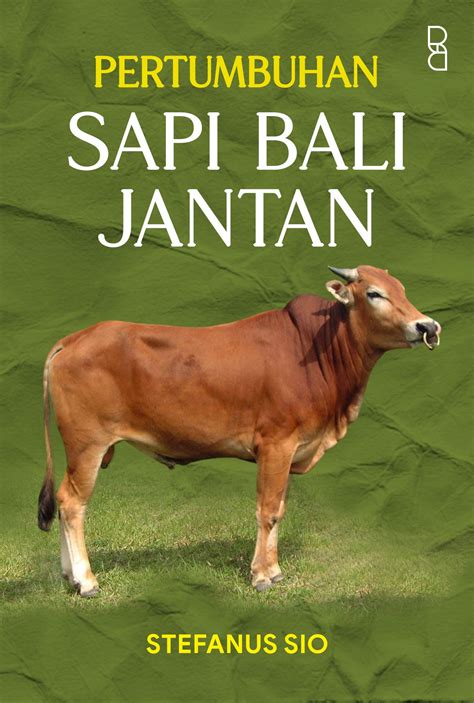 Pertumbuhan Sapi Bali Jantan 📗 Literatur.id