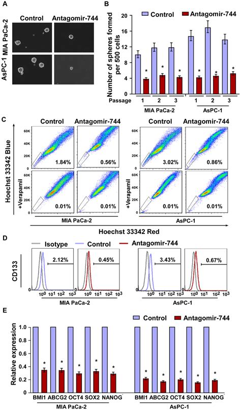 Mir 744 Inhibition Suppresses Pancreatic Cancer Stem Cell Like