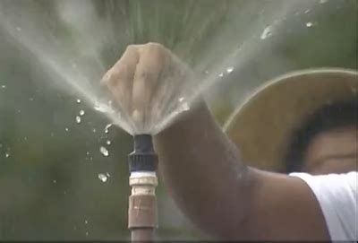 FÓRUM AGRICULTURA IRRIGADA Curso ensina como definir sistema de irrigação