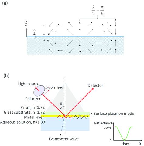 A A Schematic Illustration Of The Electrical Field Distribution Of Download Scientific