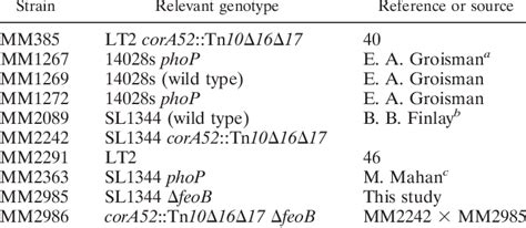 S Enterica Serovar Typhimurium Strains Used In This Study Download Table