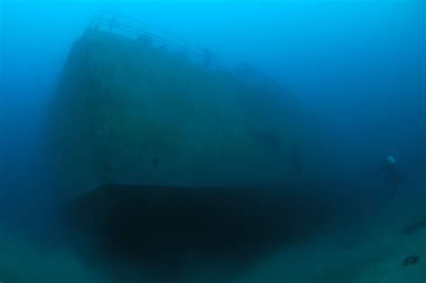 Skip S Underwater Image Gallery New Zealand Wreck Dive Guide