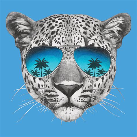 Leopard Face Clip Art