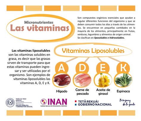 Las Vitaminas Liposolubles Inan