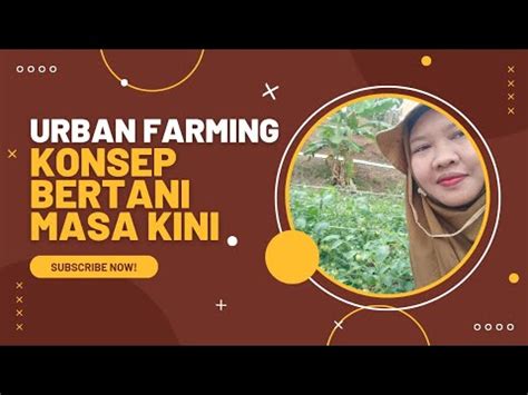 Urban Farming Konsep Bertani Masa Kini Youtube