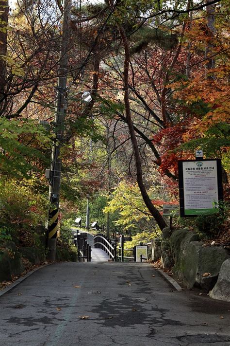 Autumn In Seoul Pixabay의 무료 사진