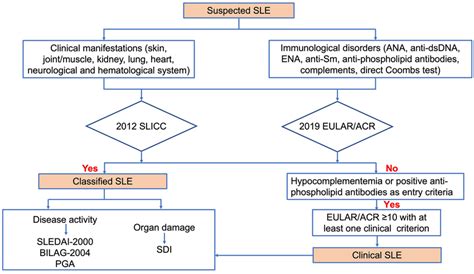 Classification Systems And Evaluation Instruments Of Sle Sle Is A Download Scientific Diagram