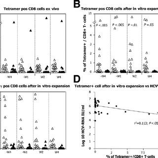 Hcv Specific Cd Cell Response Measured Before And During The First