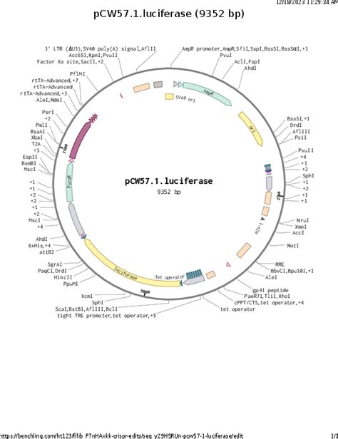 Addgene: Luciferase