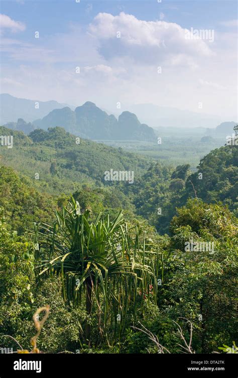 Mountain Landscape Khlong Sok National Park Ban Khao Ba Phang Nga