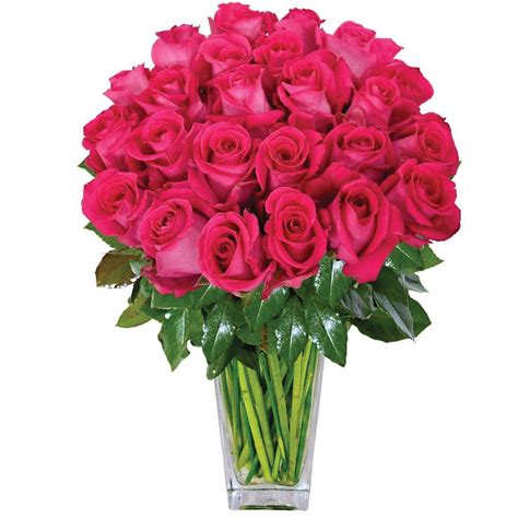 Captivating Dark Pink Roses | Flower Bouquet