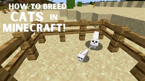 How To Breed Cats In Minecraft Youtube