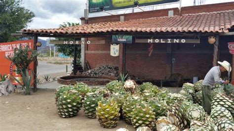 From Oaxaca Hierve El Agua Waterfalls And Mezcal Tasting Getyourguide