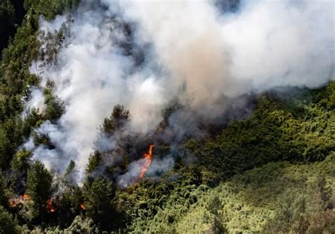 Alerta En Colombia Por 31 Incendios Forestales Activos