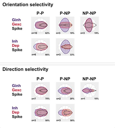 Diversity Of Combinations Between Excitatory And Inhibitory Input Download Scientific Diagram