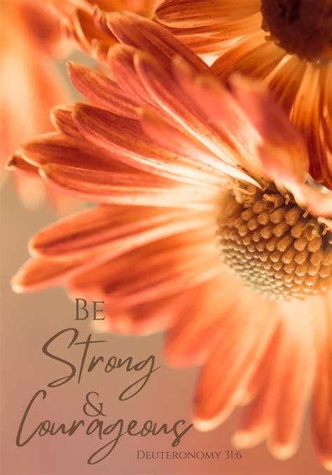 Be Strong And Courageous Fairley Amanda Books