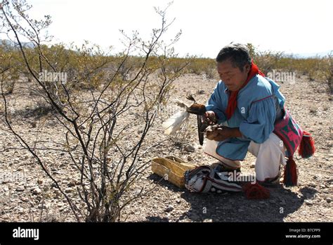 Huichol Peyote Banque De Photographies Et Dimages à Haute Résolution Alamy