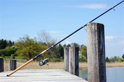 Fenwick Rods: The Top Models to Check Out 2022 | Fishing Rex