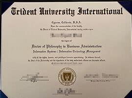 How Easy To Get A Fake Southern Illinois University Diploma