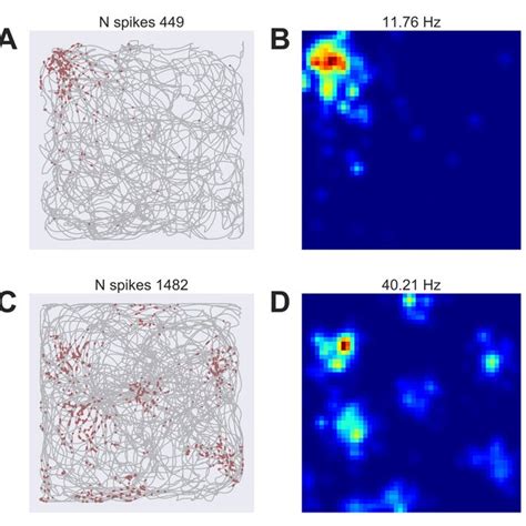 Open Ephys Signal Chain For Closed Loop Stimulation The Tracking Port