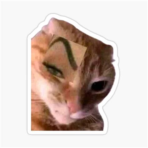 "raised eyebrow cat" Sticker for Sale by Alpha7235 | Redbubble