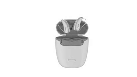 Digital Signia Pure Chargeandgo 1x Hearing Aids Receiver In Canal At Rs 49990piece In Surat