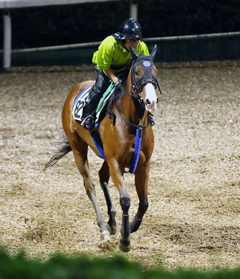 【北九州記念】単勝1番人気はママコチャの3・6倍 モズメイメイが5・6倍で続く 前日最終オッズ Umatoku 馬トク