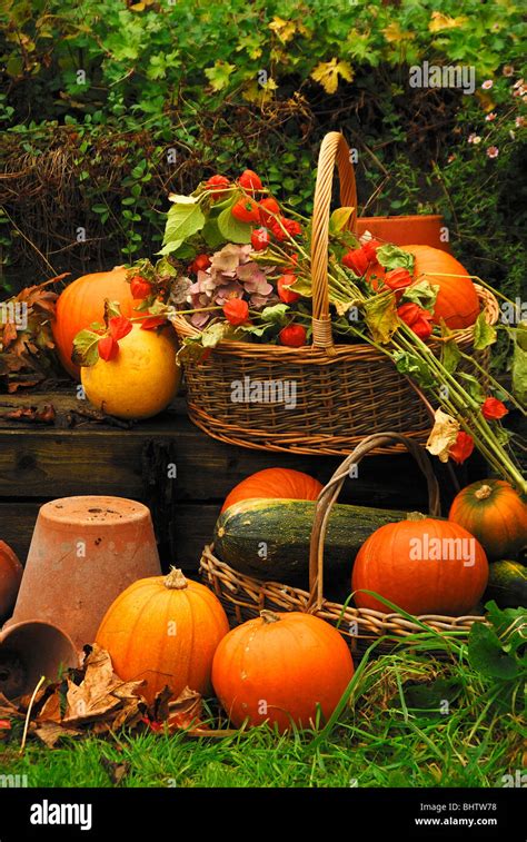 Pumpkins And Autumn Fruits Displayed In And Around A Wicker Basket