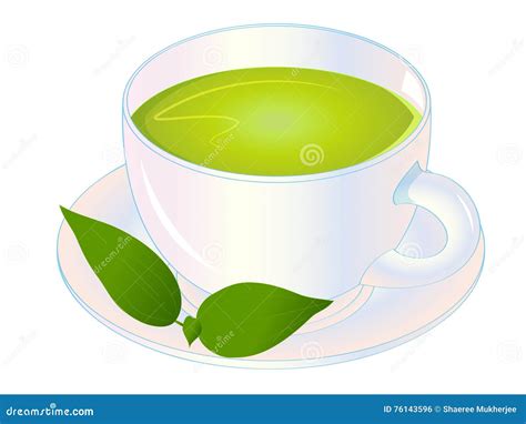 Green Tea Cup Vector