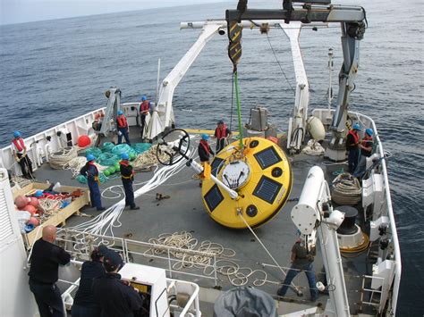 Focus on research, innovation and education | EEA Grants