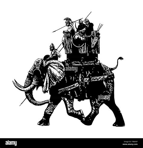 War elephant illustration, army of Carthage. Isolated black white historical illustration Stock ...