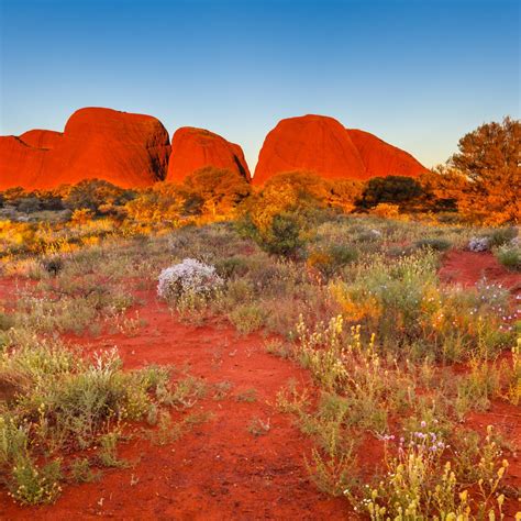 Uluru-Kata Tjuta National Park travel - Lonely Planet | Northern ...